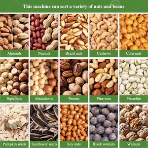 Hazelnut <strong>Kernel</strong> Nut Size Grading <strong>Machine</strong> Grader Vibrating Screen <strong>for</strong> Almond <strong>Shell</strong> Processing Line - Product Image 6