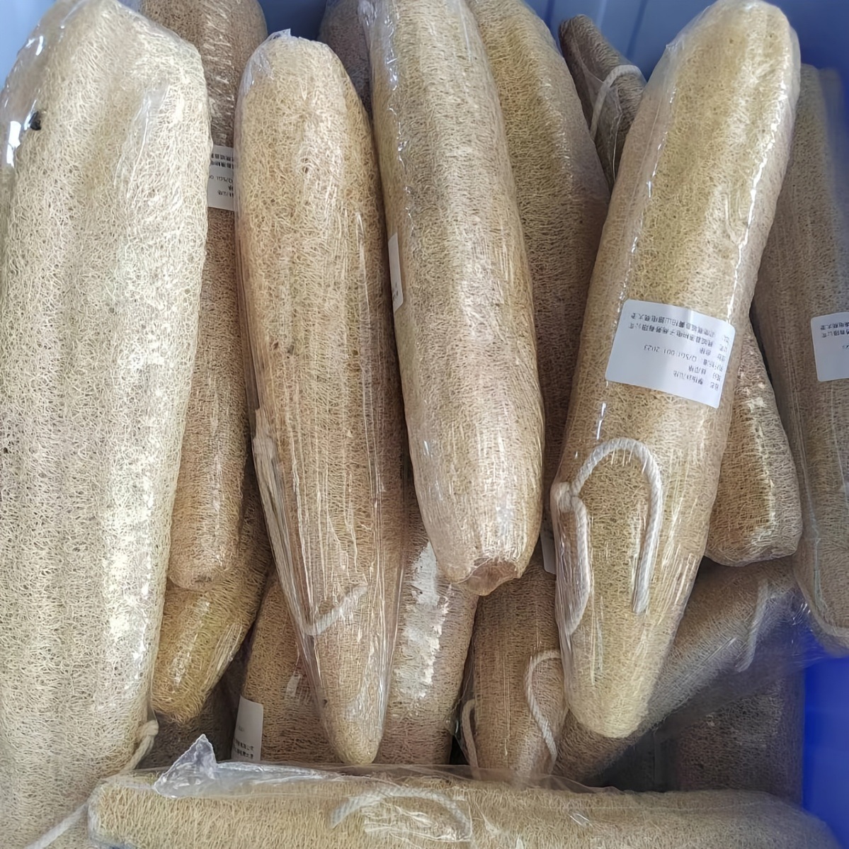 Éponge loofah entière thermoplastifiée avec corde