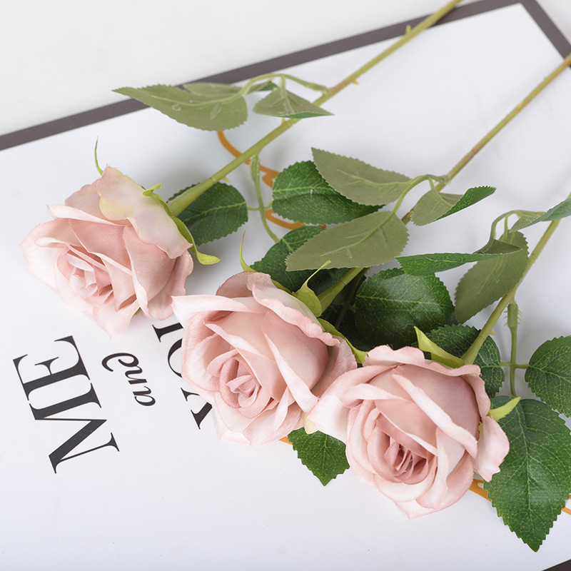 กาแฟอ่อน (ผ้าไหม)