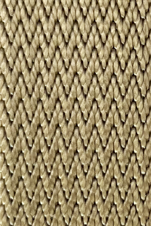 Pth011 Caqui