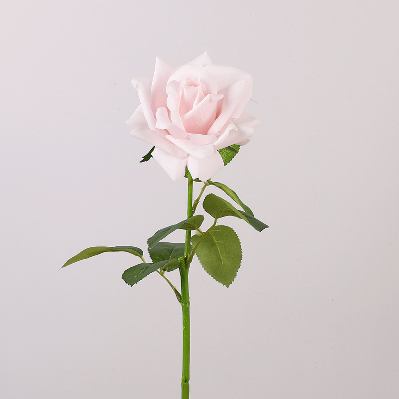 Rosa claro