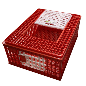 Canlı kümes hayvanları taşıma sandığı tavuk ördek plastik taşıma kafesi 10-12 yetişkin tavuk sürgülü erişim kapısı - Product Image 2