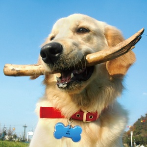 Tùy chỉnh Silicone Epoxy NFC Pet <span class=keywords><strong>tag</strong></span> không thấm nước PVC Mini RFID <span class=keywords><strong>Tag</strong></span> 125Khz 13.56MHz 213 cho chó mèo cổ áo bền QR - Product Image 2