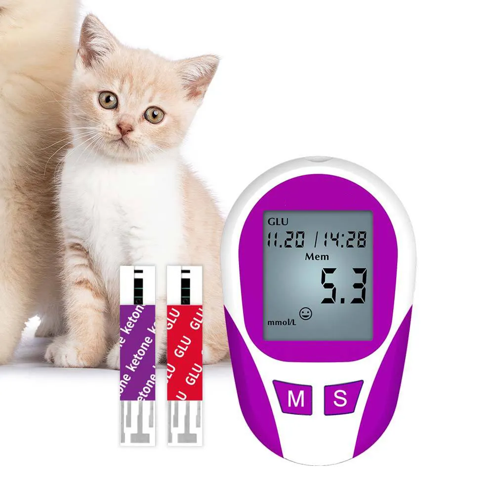Haute qualité maison glycémie cétone aiguille Machine d'injection produit de Test diagnostiquer le diabète pour la maladie animale