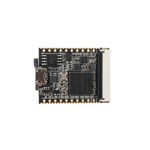 Lichee Nano Linux scheda di sviluppo F1C100s ARM9 processore 32MB DDR 16MB SPI Flash Slot TF integrato - Product Image 1