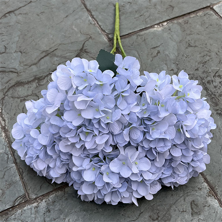Light Blue 2