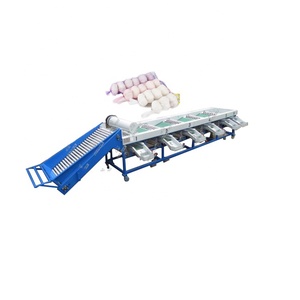 Máquina clasificadora rotativa de tambor automático, máquina clasificadora de clasificación de tamaño de ajo, máquina clasificadora de tamaño de ajo
