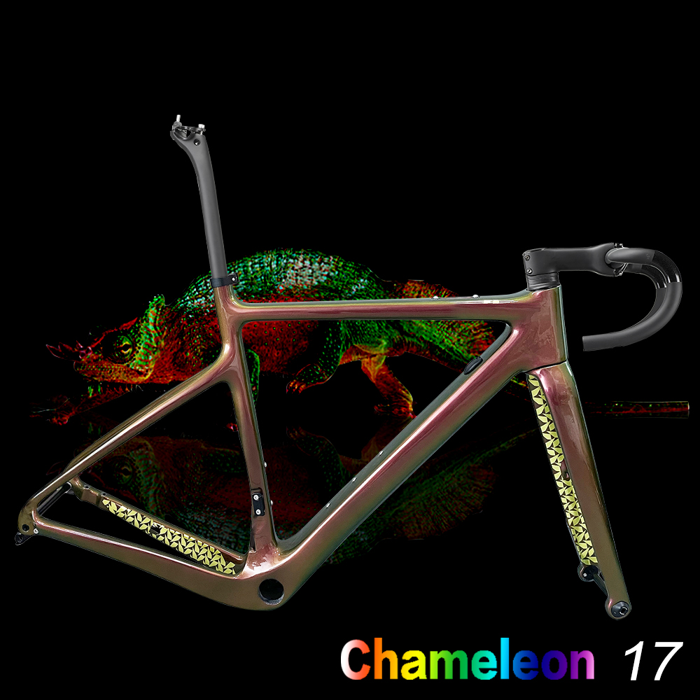 Caméléon 17