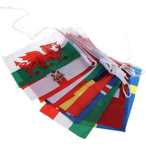 Huiyi Promotional Mass Custom Flag 100% Polyester Zambian Republican Election String Flags - Product Image 1