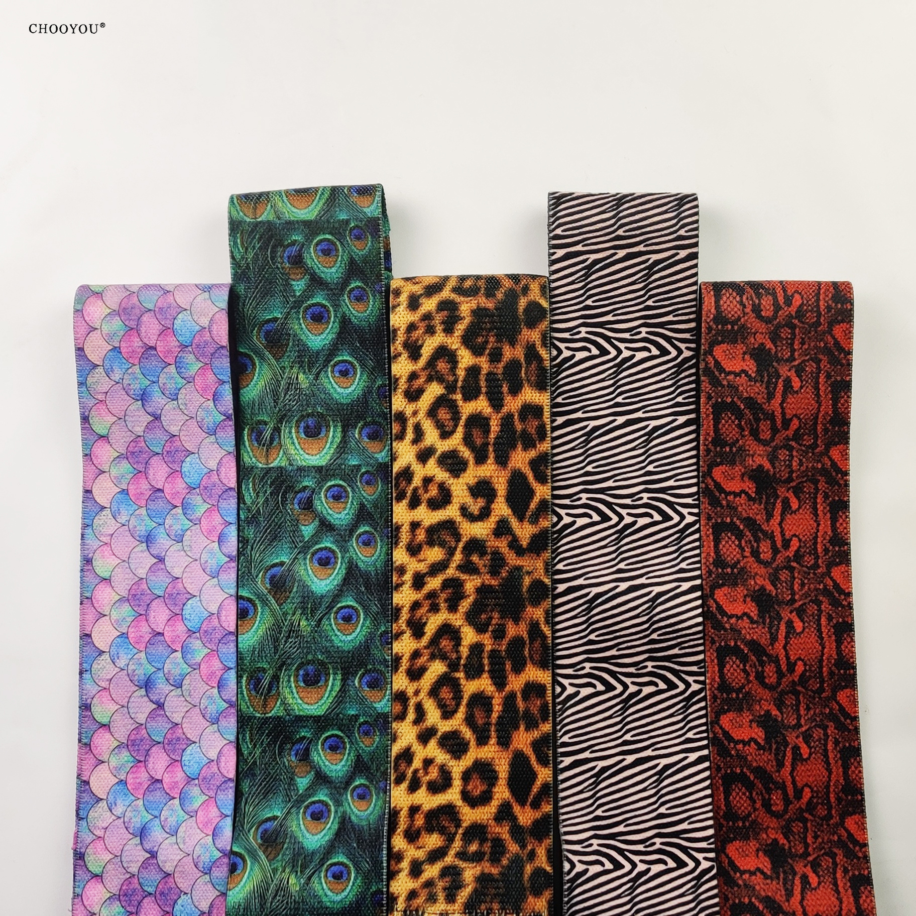 animal series 1