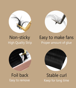 LashPlus toptan kirpik uzatma 0.05mm rus hacimli kirpikler 0.03 0.07 sahte vizon kolay fanlar çiçeklenme kirpik C D - Product Image 3