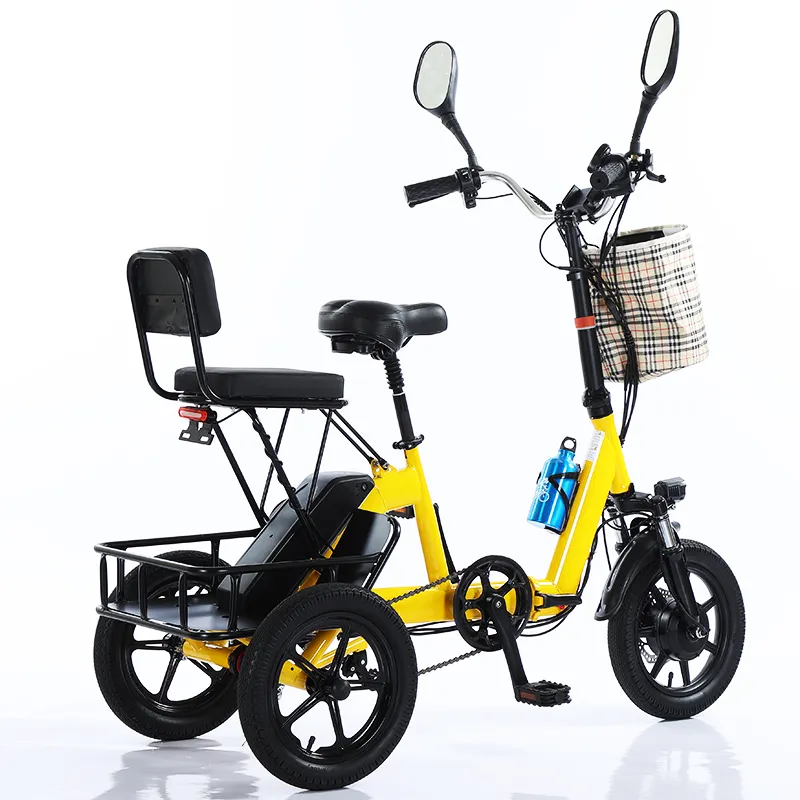 2024 modèle populaire Tricycle électrique de passager prêt à expédier pas cher Chine batterie au Lithium 48V Tricycle pliable 6 Tubes