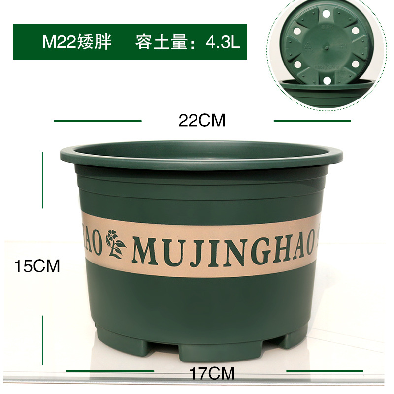 Calibre M22 (22 cm)