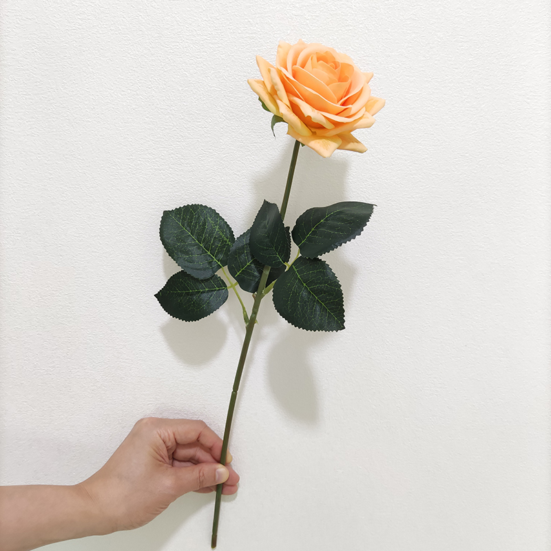 Naranja