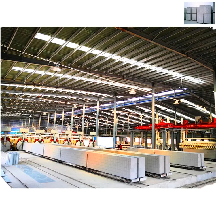 Hongfa, Alemania, Ytong, máquina de bloques de hormigón AAC aireado esterilizado en autoclave, planta, fabricantes de bloques AAC, línea de producción de bloques AAC de Gas