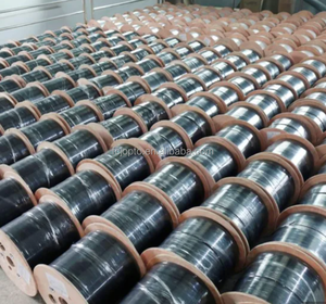 FCJ ASU Exterior ASU Span 80M 12 núcleos de fibra óptica de modo único cabo todo dielétrico