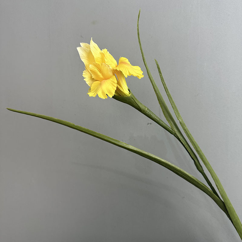 #2 yellow