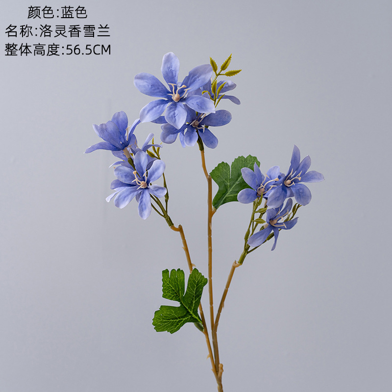 Bleu