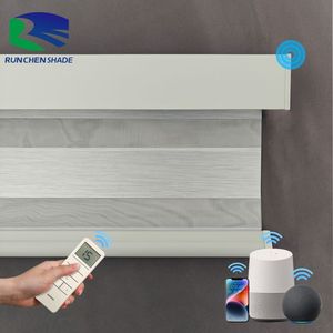 Persianas cebra, rodillo de ventanas francés moderno, instalación integrada con diseño de patrón, cadena, características eléctricas de la casa - Product Image 1