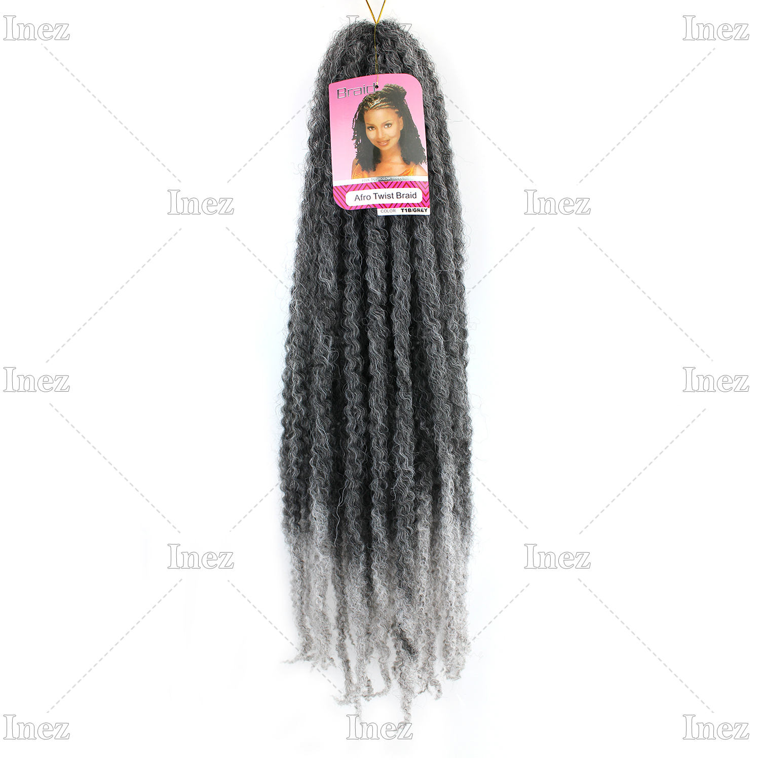 T1B/GRIS