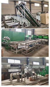 Automatic Hazelnut <strong>Shelling</strong> <strong>Machine</strong> Pistachio <strong>Sorting</strong> Palm <strong>Kernel</strong> Crushing Peeling Processing Line - Product Image 5