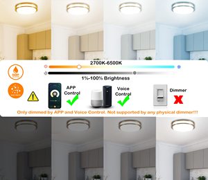 CE 18 18W 24W 30W 48W akıllı RGBCW tavan işık WiFi Bluetooth APP uzaktan kumanda Alexa Alice ses kontrolü LED tavan işıkları - Product Image 5