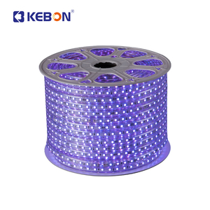 2024 วิธีการขายแถบไฟ LED Ip65 100m วิศวกรรมตกแต่ง 5050 RGB ไฟ LED Strip - Product Image 1