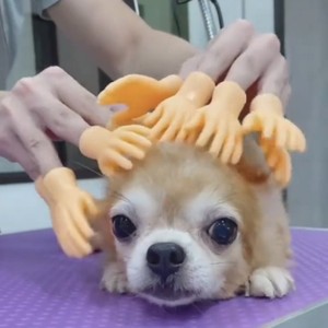 Vui Mini Tiny trung cao su ngón tay con rối đồ chơi mới lạ cho prank gag Quà Tặng bên - Product Image 2