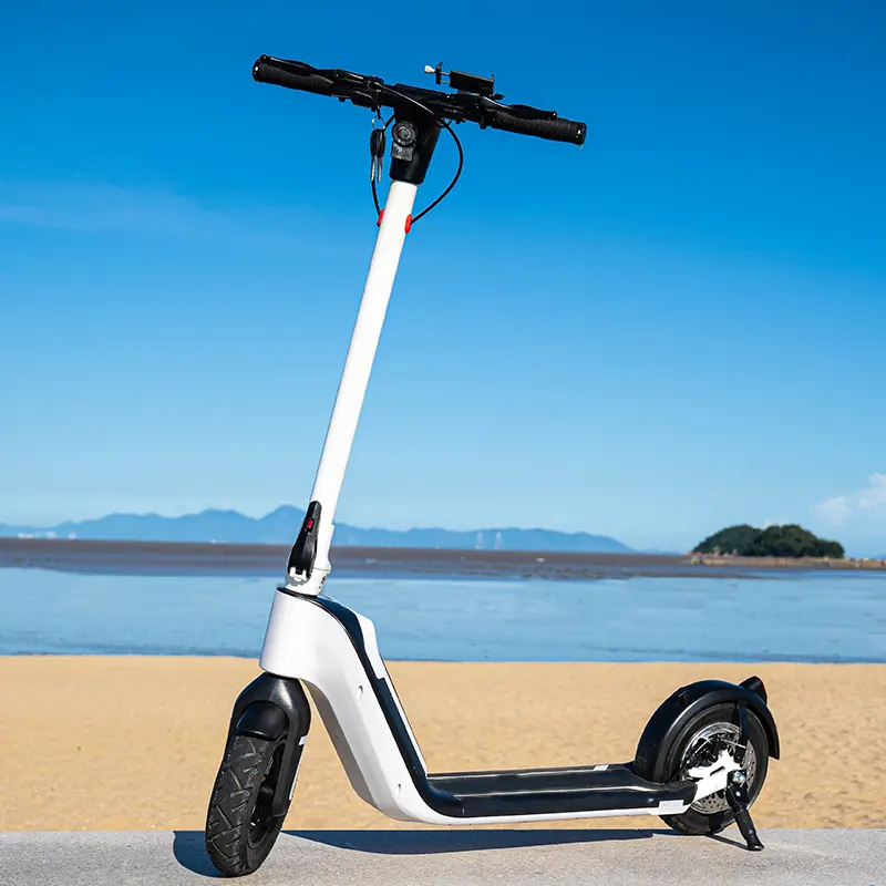 2024 Most Powerful Crownwheel Modular Design S11 48 V 10 Ah 1000 W Removable battery 10 inch Electric Scooter