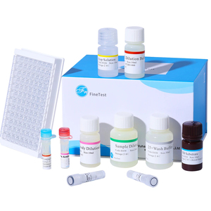 Finetest เมาส์ TGF Beta 1 ELISA Kit การวิจัยทางวิทยาศาสตร์การเปลี่ยนแปลงปัจจัยการเจริญเติบโตเบต้า1การทดสอบอย่างรวดเร็ว - Product Image 1