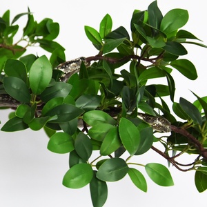 人工植物の木baosaiかわいい鉢植えAdansonia digitata baobabパルプエキス家の屋内装飾のための猿のパンの木 - Product Image 6