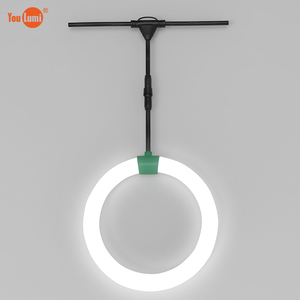 Tira de luces LED AC100-240V con control remoto inteligente, IP65, para exteriores, impermeable, 5500K, cambio de color dual, para vacaciones - Product Image 1