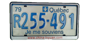 Giấy Phép Mảng Khung Xe Số Tấm Khung Dập Nổi Xe Giấy Phép Mảng Khung Bán Buôn Tùy Chỉnh Thiết Kế Nâng Lên Nhựa <span class=keywords><strong>Disney</strong></span> USA - Product Image 3