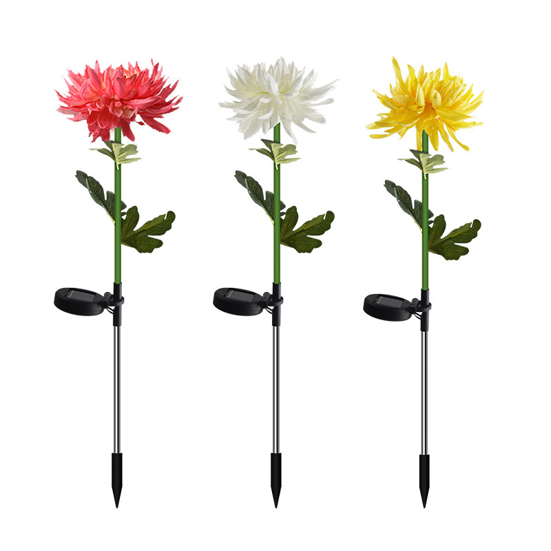 Single-headed chrysanthemum