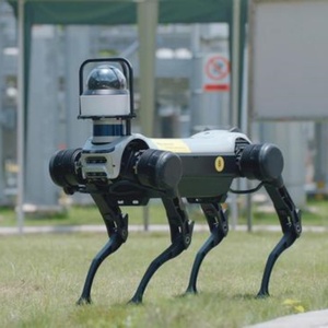 Robot Robot cane bionico a quattro zampe Robot DogMechanical cane Robot di programmazione intelligente