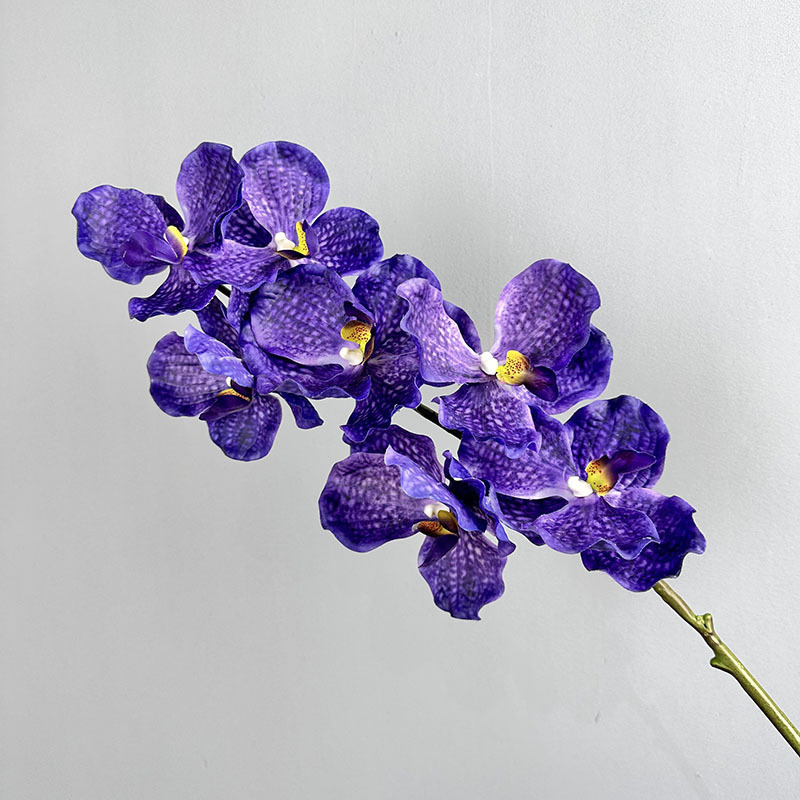 7 têtes de Viandaian violet bleu E32 collées