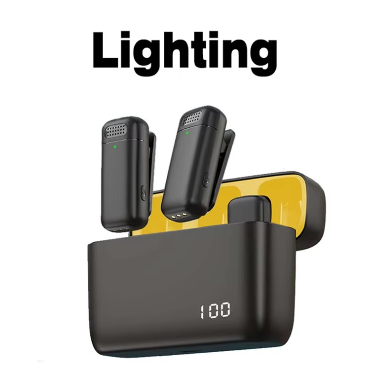 2 Microphones Lightning