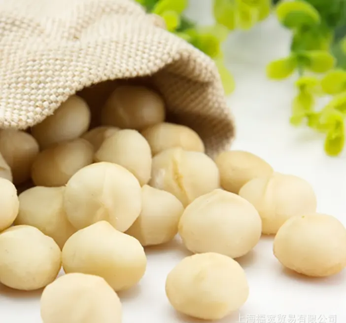 Nueces de Macadamia crudas orgánicas al por mayor en múltiples sabores secos y a Granel incluyendo sabores de Magnolia y frutas crudas