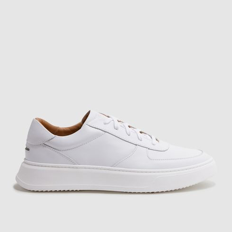 Color scheme Color 2