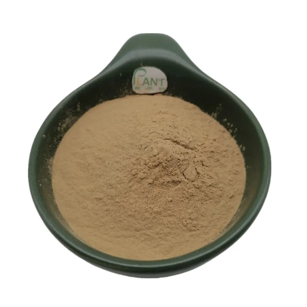Supply Brain Health plant extract Natural Voacanga Africana Extract Powder food grade in bulk