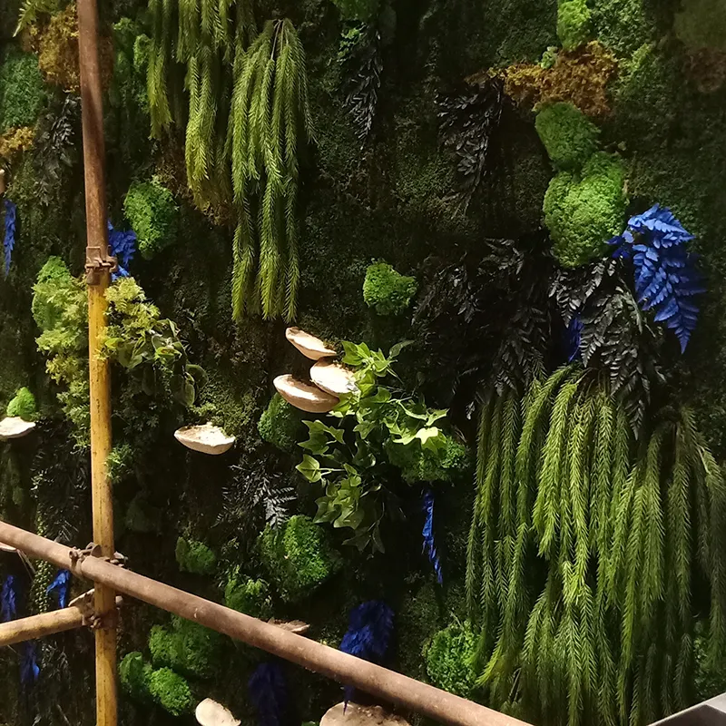 Özelleştirilmiş korunmuş yosun paneli stabilize yosun sanat duvar dekor doğal yosun sebze çerçeve