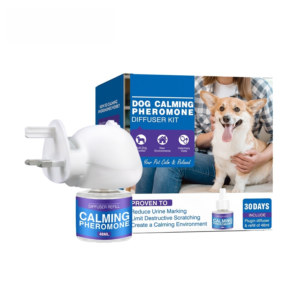 Chien bleu (1+1 norme britannique)