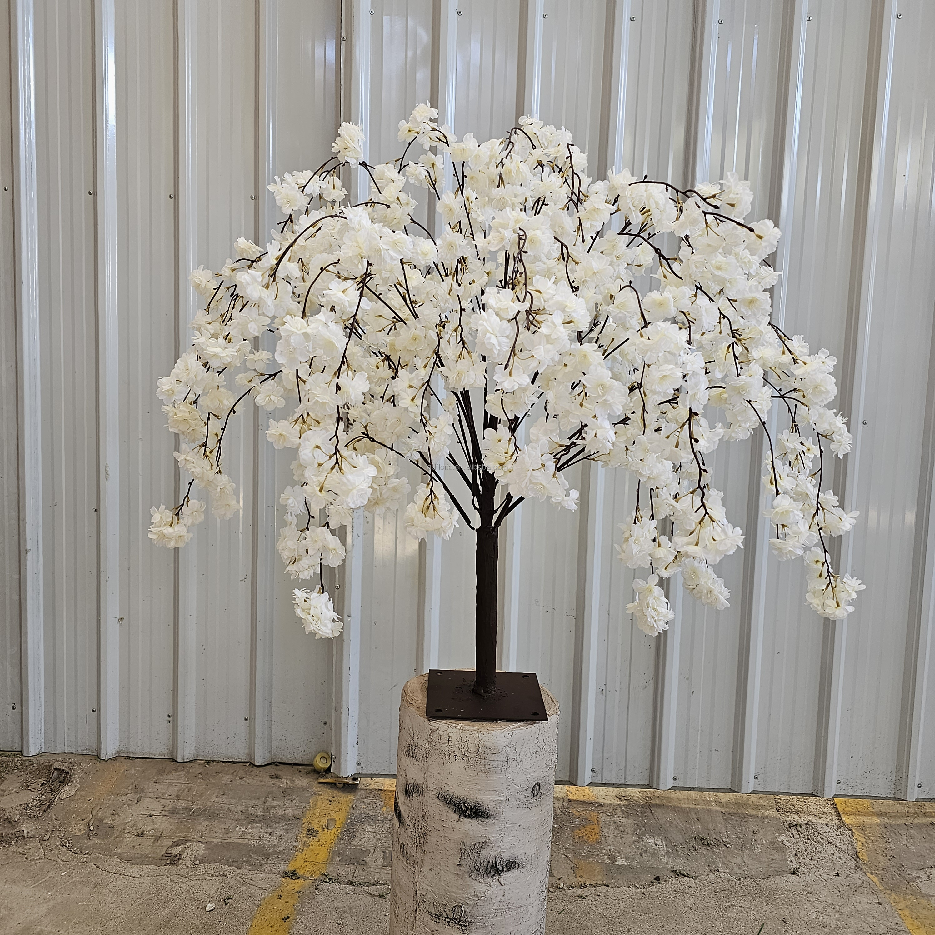 cerisier en fleurs 7