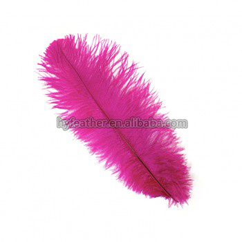 rose vif MOQ 100PC
