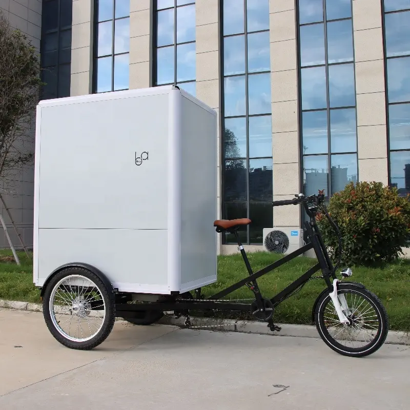 دراجة كهربائية لنقل البضائع ذات ثلاث عجلات من الشركات المصنعة في الصين، دراجة نقل بضائع ذات صندوق كبير