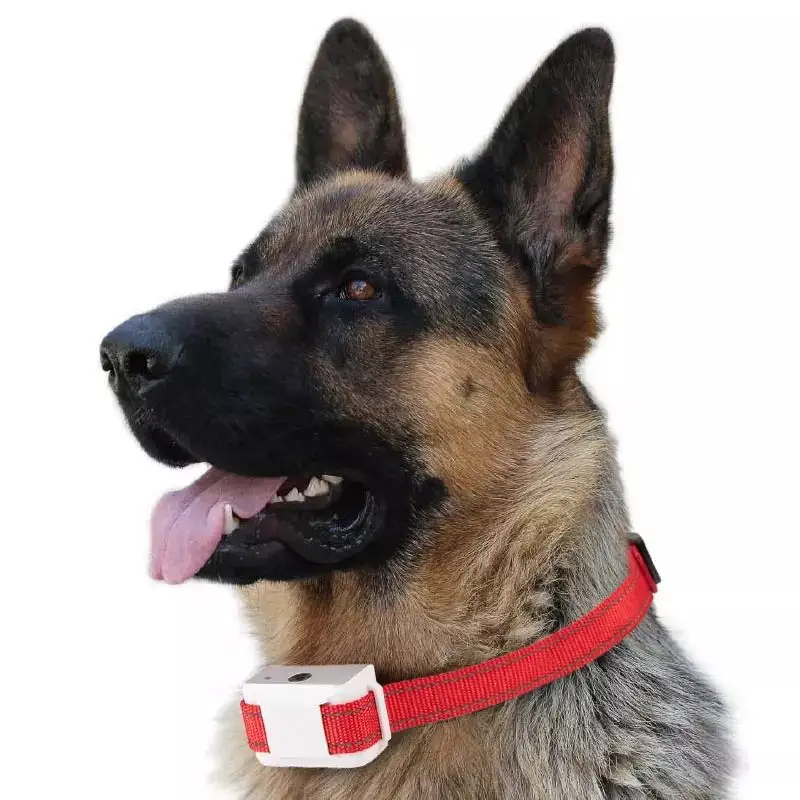 2023 Petfessor yeni köpek Bark kontrol tasması köpek eğitim yaka CE sertifikasyon testi