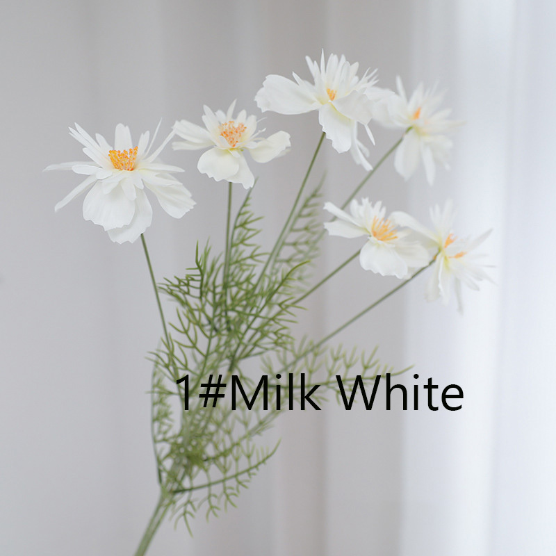 Milk White
