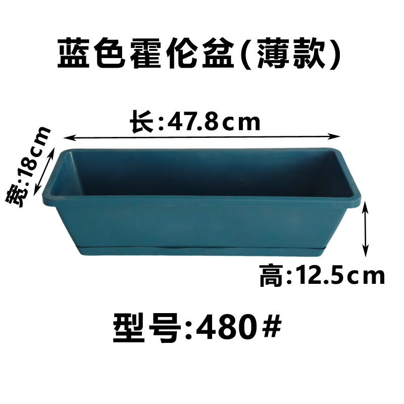Version fine, 480, bleu (avec soucoupe)