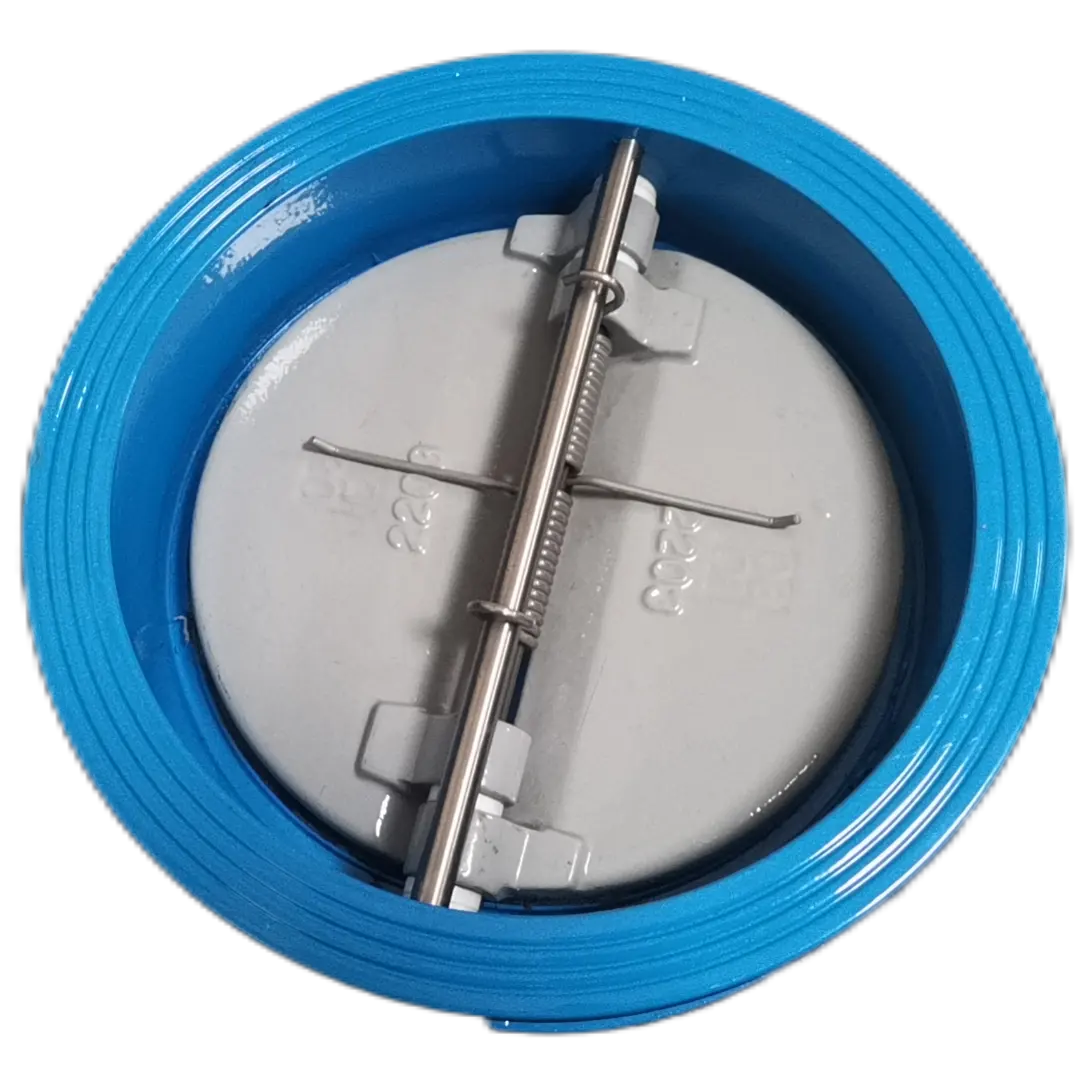 Water Valve H77X double disc check valve ductile cast iron check valve
