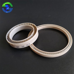 U Type Y Type <strong>Small</strong> <strong>Ptfe</strong> Spring Energized Seals Low Temperature Resistance for Lng Dispensing Gun or Compressor - Product Image 1